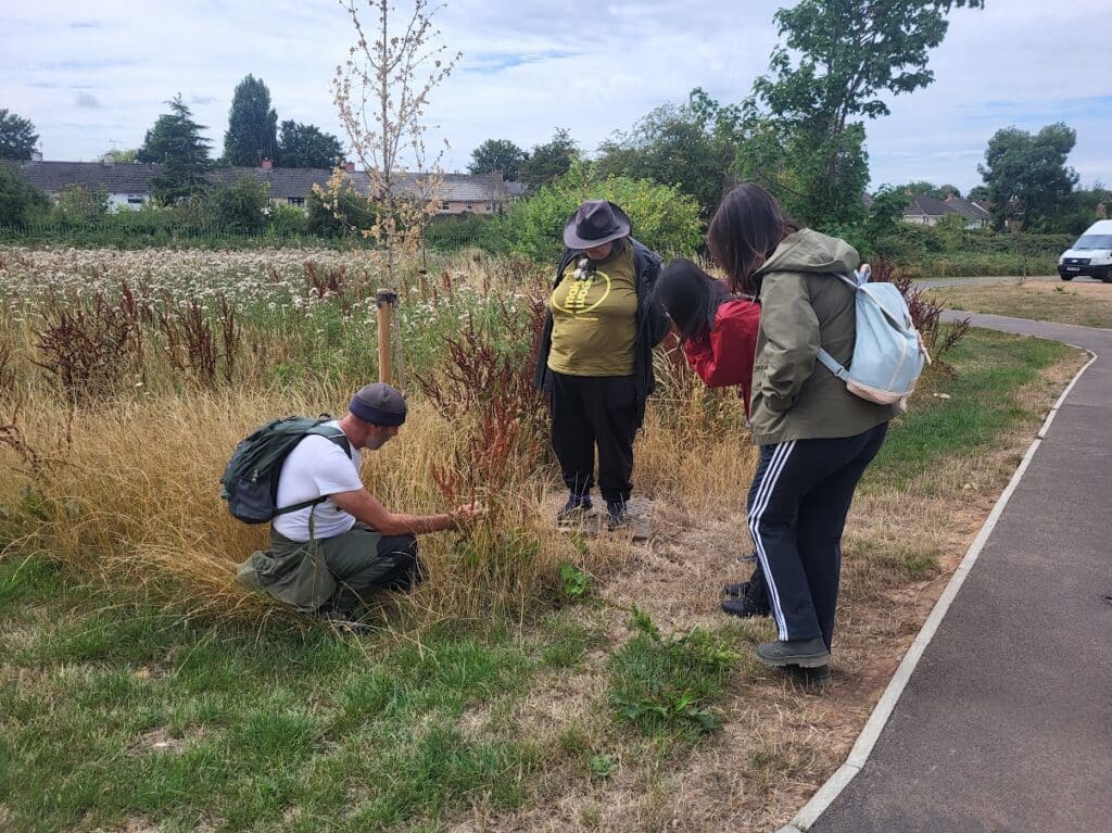 Photo of the walk leader discussing the plants and grasses in the hedgerow, with a small group of people gathered around