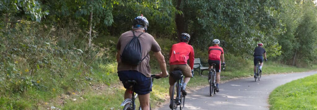 4 cyclists, cycling along a path surrounded by trees and grass