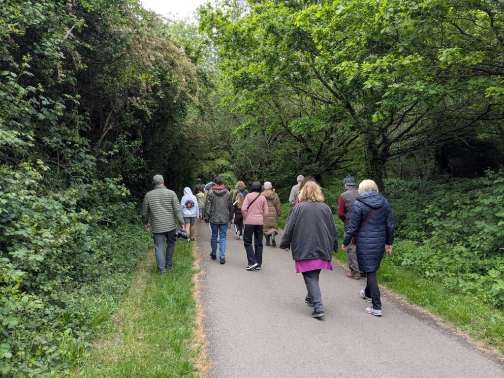 Photo of a group of people taking part in a guided walk along a tree-lined paved path, surrounded by dense greenery