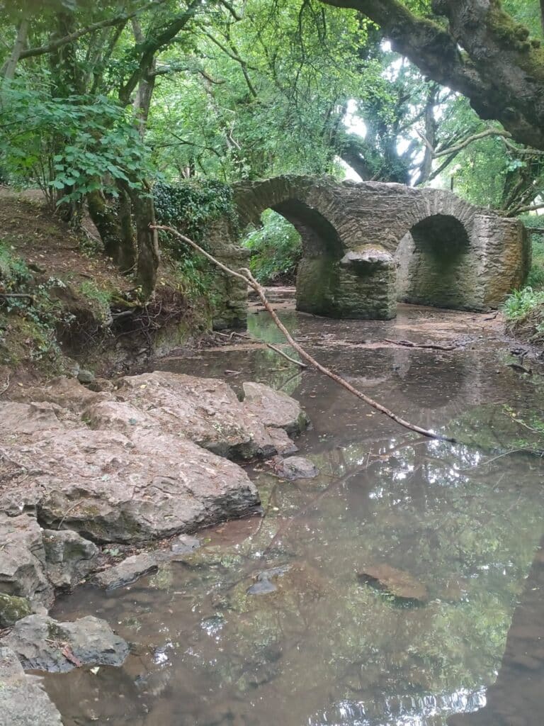 Photo of a small, old stone bridge with two arches crosses a shallow stream in a wooded area, surrounded by trees and greenery, with rocks and fallen branches visible in the water below.