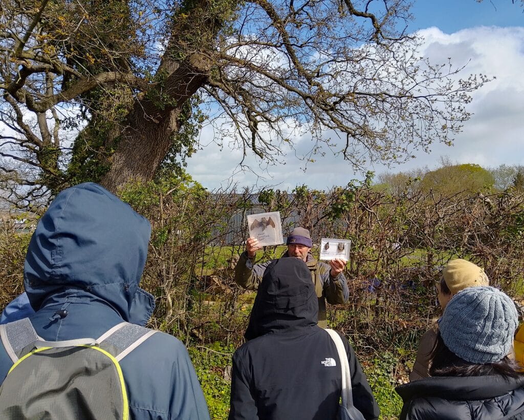 Photo of the walk leader holding up and showing the group two small bat specimen displays illustrating bat size and features.