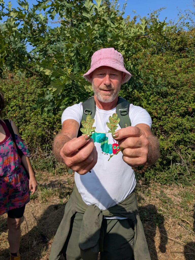 Photo of the walk leader holding two oak leaves showing clusters of oak gall wasp eggs on the undersides during a guided wildlife and tree identification walk