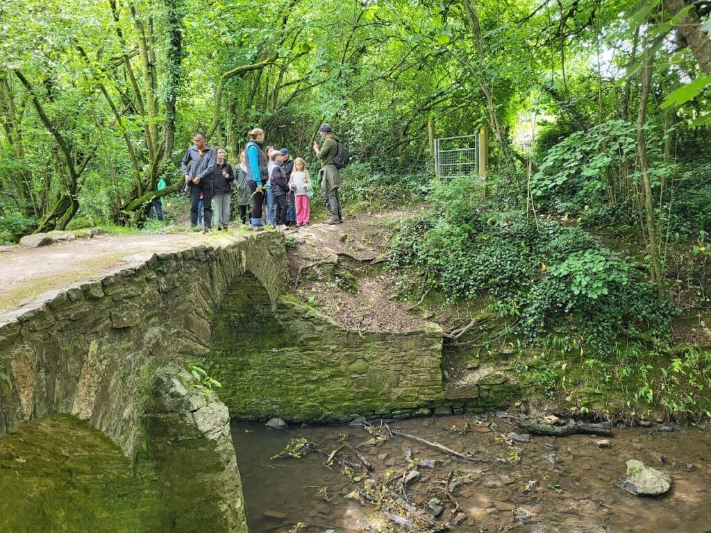 People standing near a stone bridge on a woodland walk