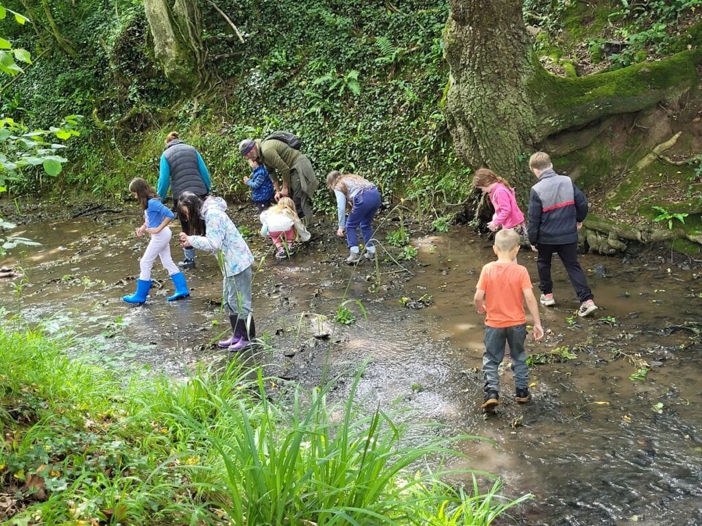Participants exploring a shallow stream in a wooded area
