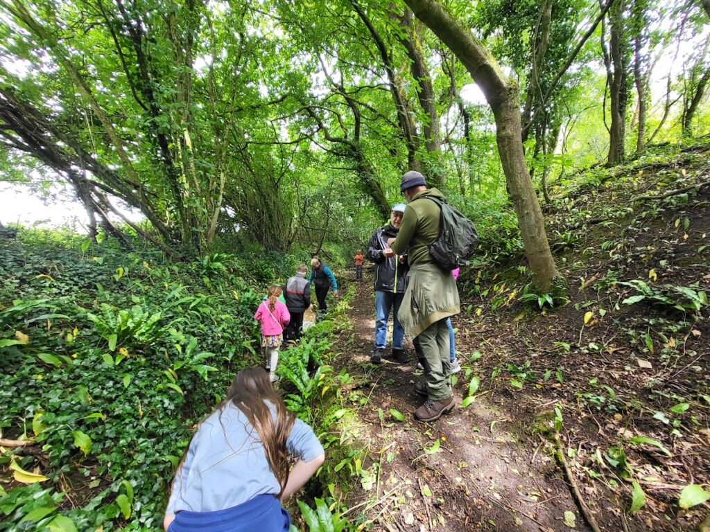 Group exploring a woodland trail