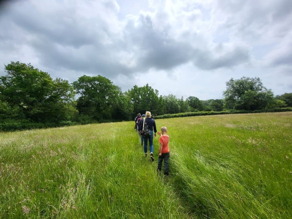 Group walking along a path through a meadow